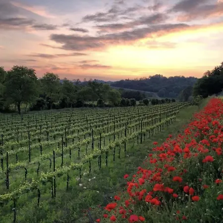 Biondelli Boutique Winery-2